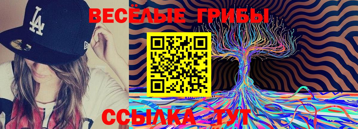 Псилоцибиновые грибы MAGIC MUSHROOMS Верхний Уфалей